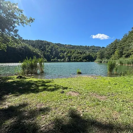 Finestra Sul Castel dell'Alpi